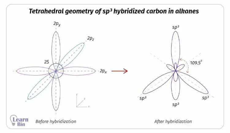 Tetrahedral geometry of sp3 hybridized carbon in alkanes