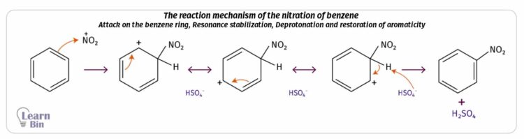 The reaction mechanism of the nitration of benzene - Attack on the benzene ring, Resonance stabilization, Deprotonation and restoration of aromaticity