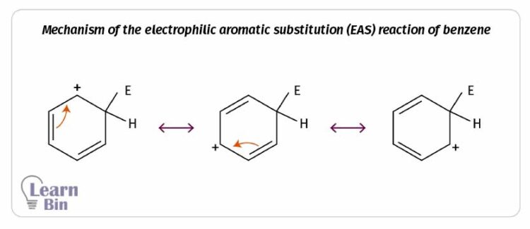 Reactions of Benzene 3 Mechanism of the electrophilic aromatic substitution (EAS) reactions of benzene - resonance-stabilization of arenium ion