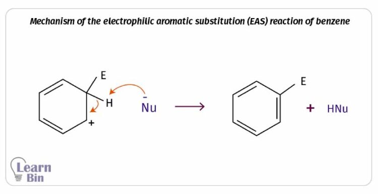 Reactions of Benzene 4 Mechanism of the electrophilic aromatic substitution (EAS) reactions of benzene - Deprotonation and restoration of aromaticity