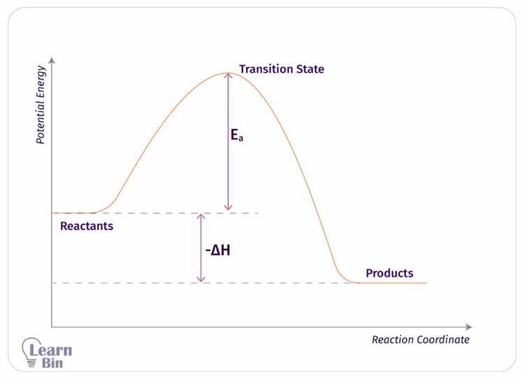 Elementary Reactions and Complex Reactions 19 energy profile of an elementary exothermic reaction
