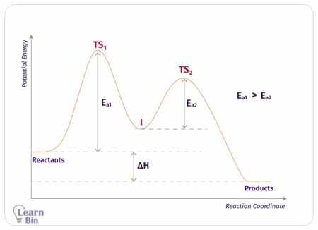 Slow Reaction Model Elementary Reactions And Complex Reactions | Learnbin