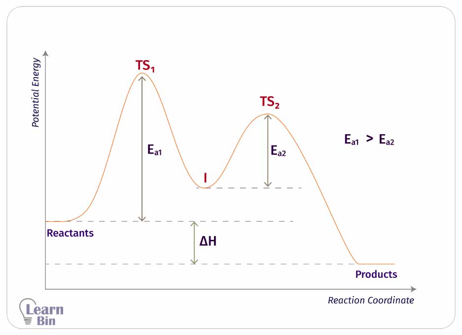 Elementary Reactions And Complex Reactions | Learnbin